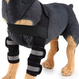 Dog Canine Shoulder Brace with Reflective Stripes Front Leg Elbow Protector for Arthritis Recovery Wounds Healing Prevents Injuries Sprains, Neoprene Sport Protect Joint Wrap - Blue - Size M