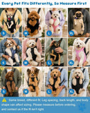 Dog Carrier Backpack Small Dog Carrier Pet Carrier Hands-Free Dog Carrier - Black / M In Australia - Darrahopens