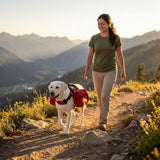 Dog Harness Storage Bags For Dogs Pet Accessories Dog Outdoor Gear High-Quality - Red - Size L In Australia - Darrahopens