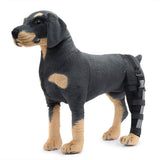 Dog Hind Left Leg Brace for Surgery Recovery, Puppy Rear Leg Protector with Stable Support, Prevents Licking Chewing Wounds, Aids Post-Op Recovery - Black - Size L