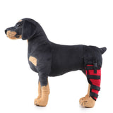 Dog Hind Left Leg Brace for Surgery Recovery, Puppy Rear Leg Protector with Stable Support, Prevents Licking Chewing Wounds, Aids Post-Op Recovery - Red - Size L In Australia - Darrahopens