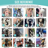 Dog Harness Storage Bags For Dogs Pet Accessories Dog Outdoor Gear High-Quality - Black - Size XL