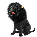 Lion Mane Wig for Dogs with Ears, Funny Pet Costumes for Halloween Christmas - Black - Size M