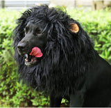 Lion Mane Wig for Dogs with Ears, Funny Pet Costumes for Halloween Christmas - Black - Size M