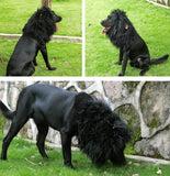 Lion Mane Wig for Dogs with Ears, Funny Pet Costumes for Halloween Christmas - Black - Size M