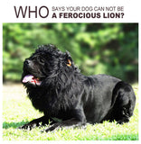 Lion Mane Wig for Dogs with Ears, Funny Pet Costumes for Halloween Christmas - Brown - Size M