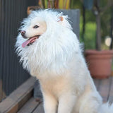 Lion Mane Wig for Dogs with Ears, Funny Pet Costumes for Halloween Christmas - White - Size M