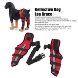 Dog Knee Brace Adjustable Dog Double Rear Leg Brace with Metal Hinged Flexible Support and Reflective Seat Belts Dog Acl Brace Hind Leg - Blue - Size M