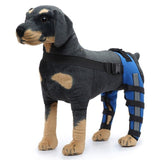 Dog Knee Brace Adjustable Dog Double Rear Leg Brace with Metal Hinged Flexible Support and Reflective Seat Belts Dog Acl Brace Hind Leg - Blue - Size S In Australia - Darrahopens