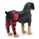 Dog Knee Brace Adjustable Dog Double Rear Leg Brace with Metal Hinged Flexible Support and Reflective Seat Belts Dog Acl Brace Hind Leg - Red - Size S