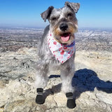 Dog Shoes for Small Dogs Hot Pavement Puppy Dog Boots & Paw Protectors | Small Medium Dog Summer Shoes, Soft Anti-Slip Rubber Sole, Mesh Breathable Dog Booties for Hardfloors, Walking Running - Pink - Size 1
