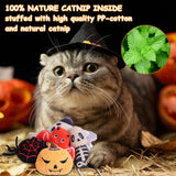 Halloween Catnip Toys,Pumpkin Ghost Catnip Toy Chew Bite Toy for Cat Interactive, Pack of 6 In Australia - Darrahopens