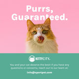 Cat Bowls Cat-Shaped Bowls Cat Feeding Cat Supplies High-Quality Cat Bowls