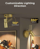 Spot Lights Indoor, Rechargeable Picture Light with Remote, Dimmable CCT Spotlight for Wall Art, 6000mAh Battery Uplights Indoor with Timer for Plant Artwork Painting Sofa Corner Light Gold
