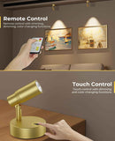 Spot Lights Indoor, Rechargeable Picture Light with Remote, Dimmable CCT Spotlight for Wall Art, 6000mAh Battery Uplights Indoor with Timer for Plant Artwork Painting Sofa Corner Light Gold