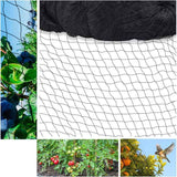 Anti Bird Netting For Aviary - Protective Chicken Netting 25Mm X 25Mm Mesh - Multipurpose Anti Pigeon Netting For