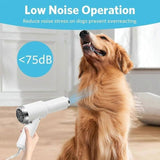 2-in-1 Pet Hair Dryer with Straightening Brush Adjustable Temperature for Small Animals