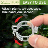 300 Pcs Tomato Trellis Clips, Plastic Plant Support Clips for Vines Cucumbers, Clear 30mm In Australia - Darrahopens