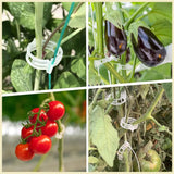 300 Pcs Tomato Trellis Clips, Plastic Plant Support Clips for Vines Cucumbers, Clear 30mm