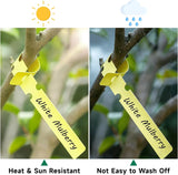 500 Pcs Plastic Plant Tree Tags, Waterproof Wrap Around Nursery Garden Labels, White 2 x 20cm In Australia - Darrahopens