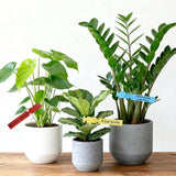 500 Pcs Plastic Plant Tree Tags, Waterproof Wrap Around Nursery Garden Labels, White 2 x 20cm