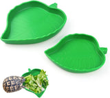 2 Pack Leaf Shaped Reptile Food and Water Bowls, Shallow Feeding Dishes for Tortoises, Lizards, Small Snakes and Bearded Dragons In Australia - Darrahopens