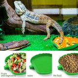 2 Pack Leaf Shaped Reptile Food and Water Bowls, Shallow Feeding Dishes for Tortoises, Lizards, Small Snakes and Bearded Dragons In Australia - Darrahopens