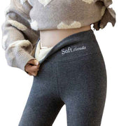 Light Gray Sherpa Fleece Lined High Waist Winter Leggings for Women, Thick Soft Thermal Pants with Stretchy Slimming Fit, Plus Size 3XL for Cold Days In Australia - Darrahopens