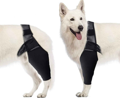 Dog Elbow Support Brace Compression Sleeve for Arthritis Dysplasia and Calluses, Increases Joint Temperature and Improves Circulation for Small to Medium Breeds Size M In Australia - Darrahopens