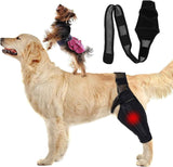Dog Elbow Support Brace Compression Sleeve for Arthritis Dysplasia and Calluses, Increases Joint Temperature and Improves Circulation for Small to Medium Breeds Size M In Australia - Darrahopens