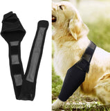 Dog Elbow Support Brace Compression Sleeve for Arthritis Dysplasia and Calluses, Increases Joint Temperature and Improves Circulation for Small to Medium Breeds Size M In Australia - Darrahopens