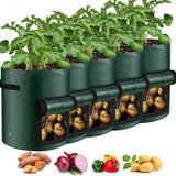 5 Pieces 38 L Grow Bags with Handles and Harvest Window, Breathable Planter Bags for Potatoes, Carrots and Vegetables, Green In Australia - Darrahopens