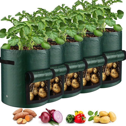 5 Pieces 38 L Grow Bags with Handles and Harvest Window, Breathable Planter Bags for Potatoes, Carrots and Vegetables, Green In Australia - Darrahopens