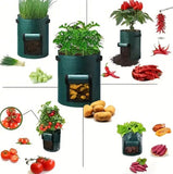 5 Pieces 38 L Grow Bags with Handles and Harvest Window, Breathable Planter Bags for Potatoes, Carrots and Vegetables, Green In Australia - Darrahopens