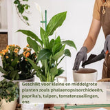 Plant Trellis, Plant Supports for Climbing Plants, Outdoor Wall Rack, Green, for Growing Vegetables, Herbs and Flowers In Australia - Darrahopens