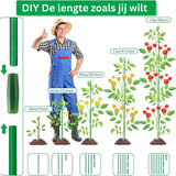 Plant Trellis, Plant Supports for Climbing Plants, Outdoor Wall Rack, Green, for Growing Vegetables, Herbs and Flowers
