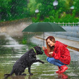Mini Umbrella, Windproof Snow Umbrella, With Storage Box, 6 Rib Mini Travel Umbrella, Foldable Umbrella, Compact Umbrella, 90cm In Australia - Darrahopens