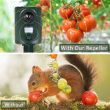 Ultrasonic Animal Deterrent Solar Powered Waterproof Outdoor Training Aid for Garden Yard Dark Green, Waterproof Design In Australia - Darrahopens