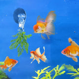Aquarium Seaweed Fish Food Holder Clips, 12 Piece Suction Cup Veggie Clips for Fish Tank Feeding, Clear, for Safe Pet Grooming and Care