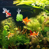 Aquarium Seaweed Fish Food Holder Clips, 12 Piece Suction Cup Veggie Clips for Fish Tank Feeding, Clear, for Safe Pet Grooming and Care