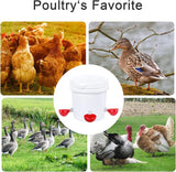 8 Pack Chicken Waterer Cups Automatic Leakproof Poultry Drinking System with Tee Fitting and Mounting Tool for Chickens Red