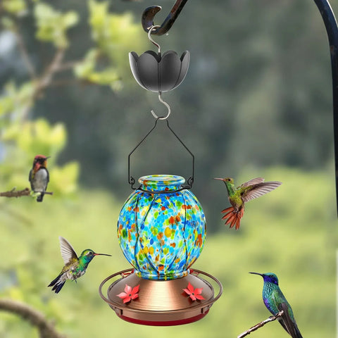 Large Diameter Ant Moat Cup Clear Reservoir Hard Plastic Stainless Hook Heavy-Duty Ant Guard for Hummingbird Feeder Garden Outdoor Backyard Decoration In Australia - Darrahopens
