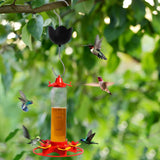 Large Diameter Ant Moat Cup Clear Reservoir Hard Plastic Stainless Hook Heavy-Duty Ant Guard for Hummingbird Feeder Garden Outdoor Backyard Decoration In Australia - Darrahopens
