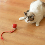 3 Pack Interactive Cat Ball Toy, Electric Cat Toy with USB Rechargeable, Three Working Modes, 360 Rolling Smart Ball for Cats and Dogs