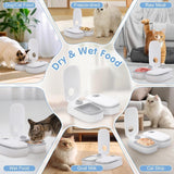 2 Pieces Automatic Wet Food Dispensers with 48 Hour Timer, 700 ml Cat Food Feeders for Wet and Dry Food, Grey, 28.5 x 24.5 x 7.5 cm