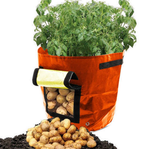 Suncoda Summer Savings 34x35cm Potato Grow Bag with Side Window & Handles 13" x 14" Black#1
