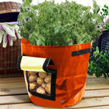 Suncoda Summer Savings 34x35cm Potato Grow Bag with Side Window & Handles 13" x 14" Black#1