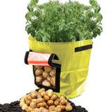 Suncoda Summer Savings 34x35cm Potato Grow Bag with Side Window & Handles 12" x 14" Black#2