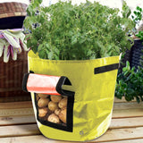 Suncoda Summer Savings 34x35cm Potato Grow Bag with Side Window & Handles 12" x 14" Black#2