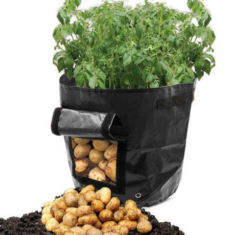 Suncoda Summer Savings 34x35cm Potato Grow Bag with Side Window & Handles 14" x 18" Black#3